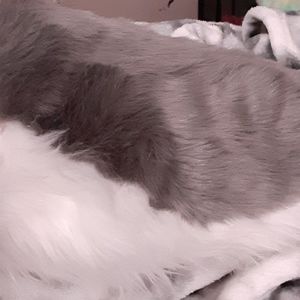 Fursuit nub tail grey